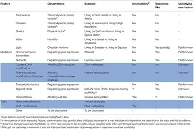 The Epigenetic Cytocrin Pathway to the Nucleus. Epigenetic Factors, Epigenetic Mediators, and Epigenetic Traits. A Biochemist Perspective